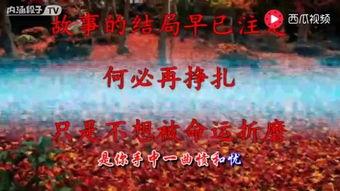 二泉吟视频,古韵悠扬，琴音传情